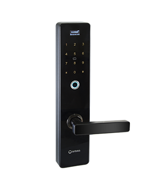 P8010 Fingerprint smart lock